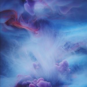 Meet your Posher, Bella